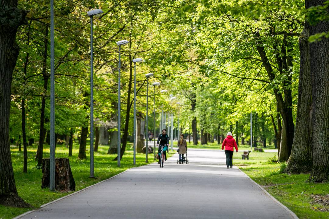 Ąžuolyno parkas