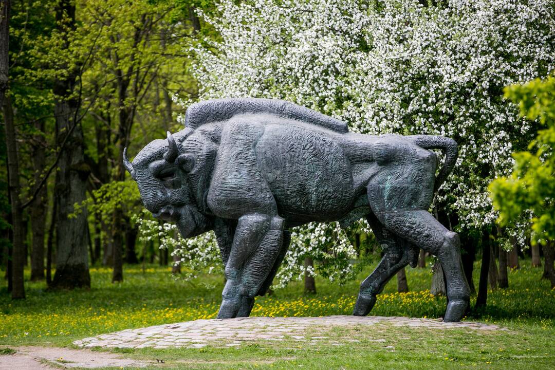 Ąžuolyno parkas