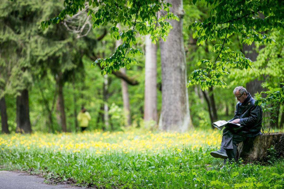 Ąžuolyno parkas