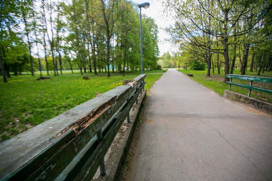 Ąžuolyno parkas