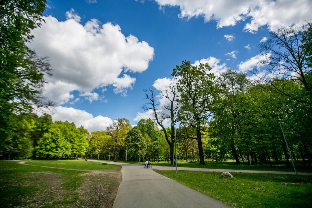 Ąžuolyno parkas