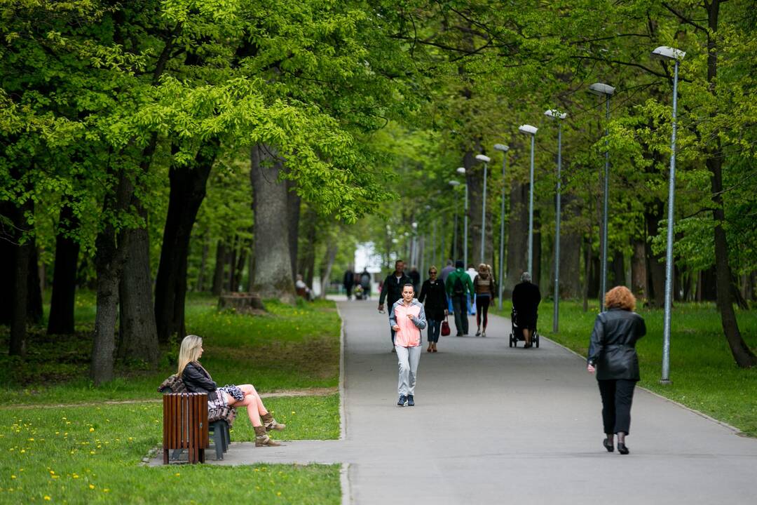 Ąžuolyno parkas