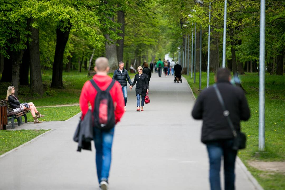 Ąžuolyno parkas