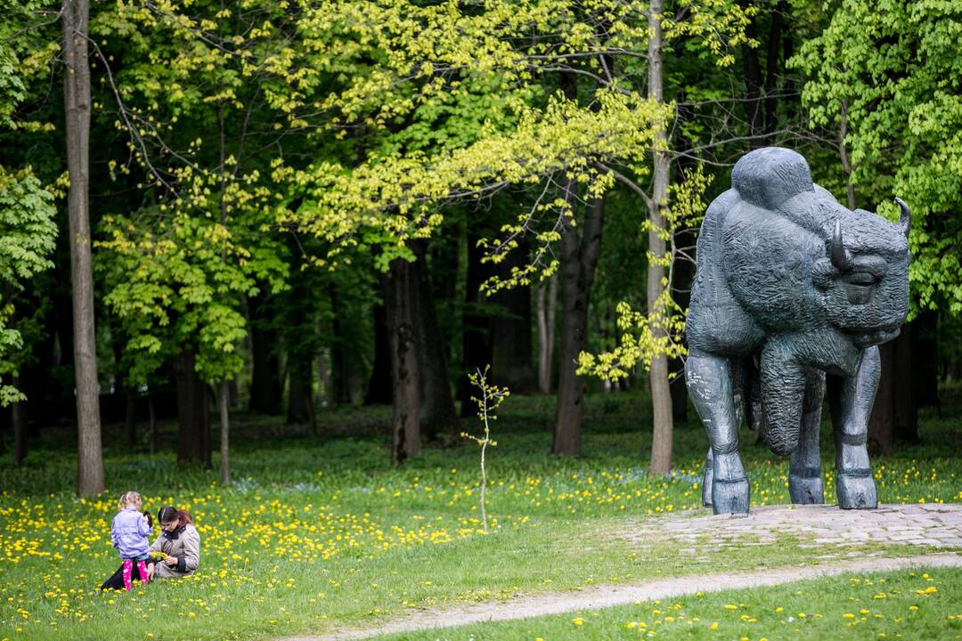 Ąžuolyno parkas