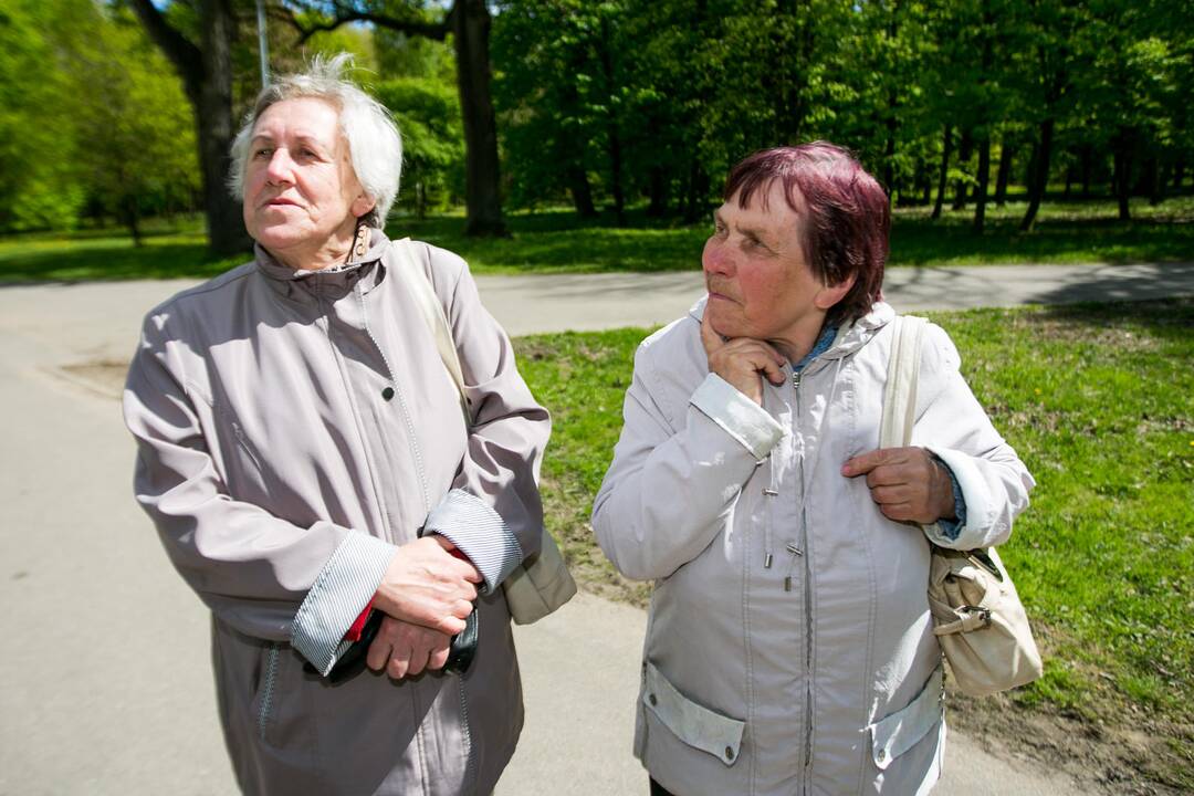 Ąžuolyno parkas