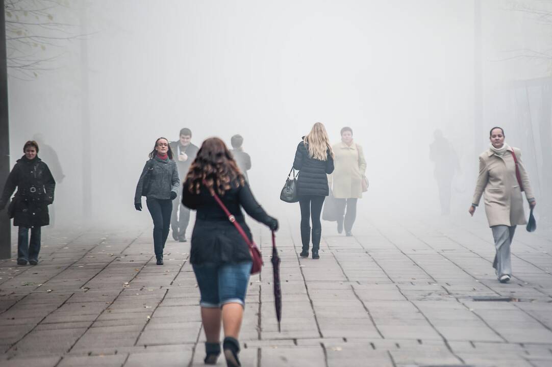 Ekskursija po Laisvės alėją "Paldieninkas: patirk laisvę naujai"
