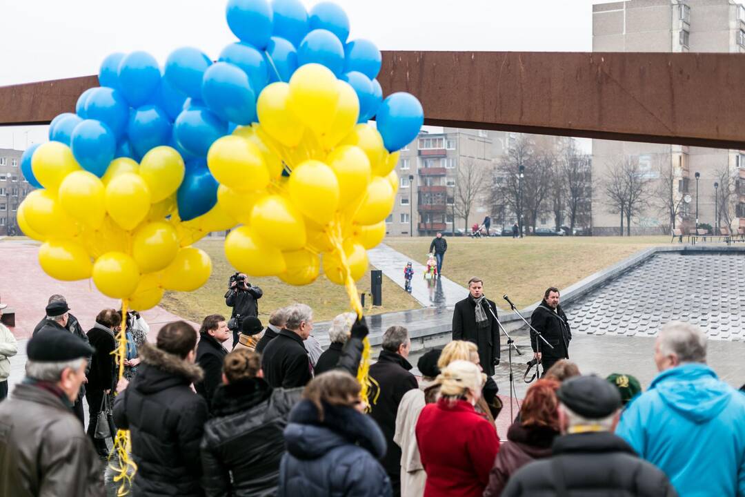 Ukrainos palaikymo akcija