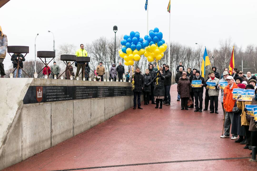 Ukrainos palaikymo akcija