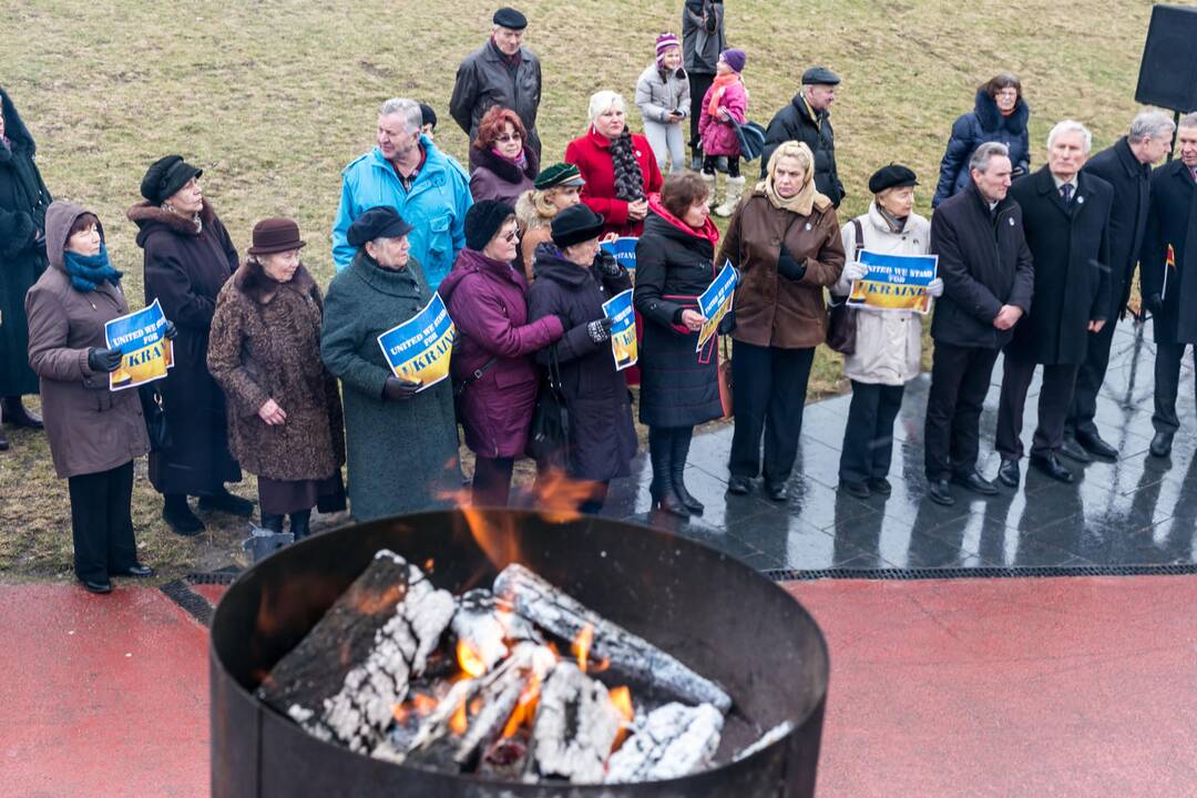 Ukrainos palaikymo akcija