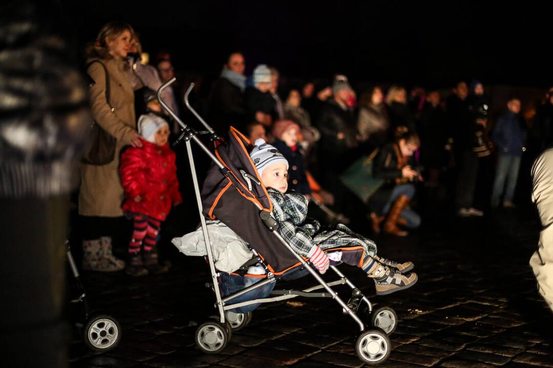 Kaunas pagerbė neišnešiotus naujagimius: Rotušė nušvito purpurine spalva 