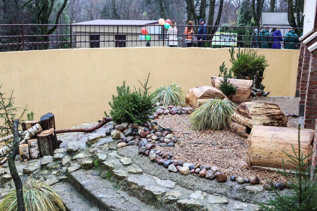 Zoologijos sode atidarytas korsakų voljeras