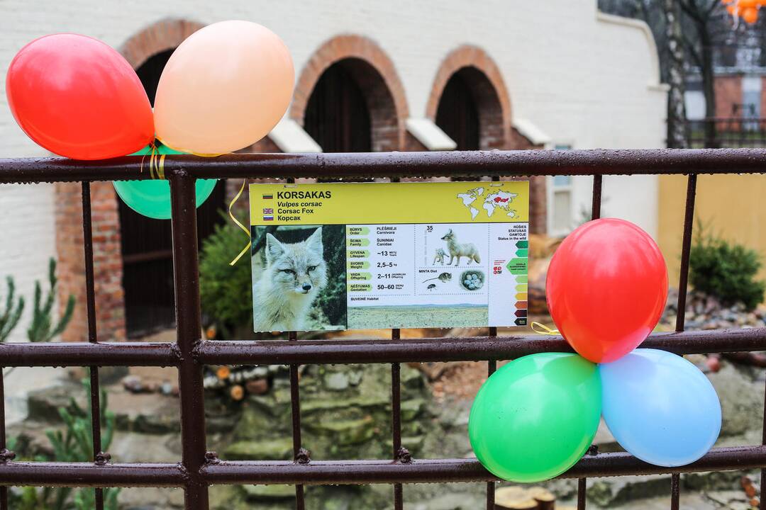 Zoologijos sode atidarytas korsakų voljeras
