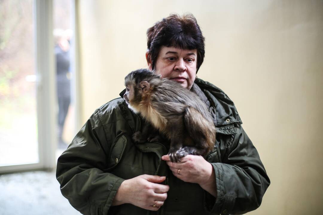 Zoologijos sode atidarytas korsakų voljeras