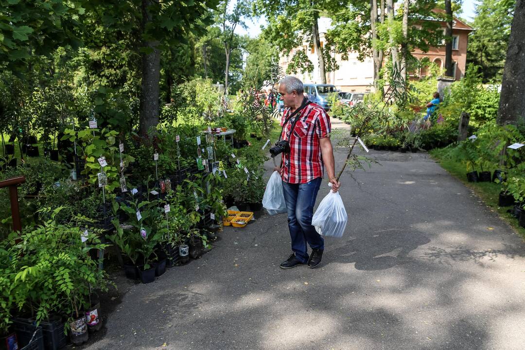 Mugė botanikos sode "Pakalnutės uoga"