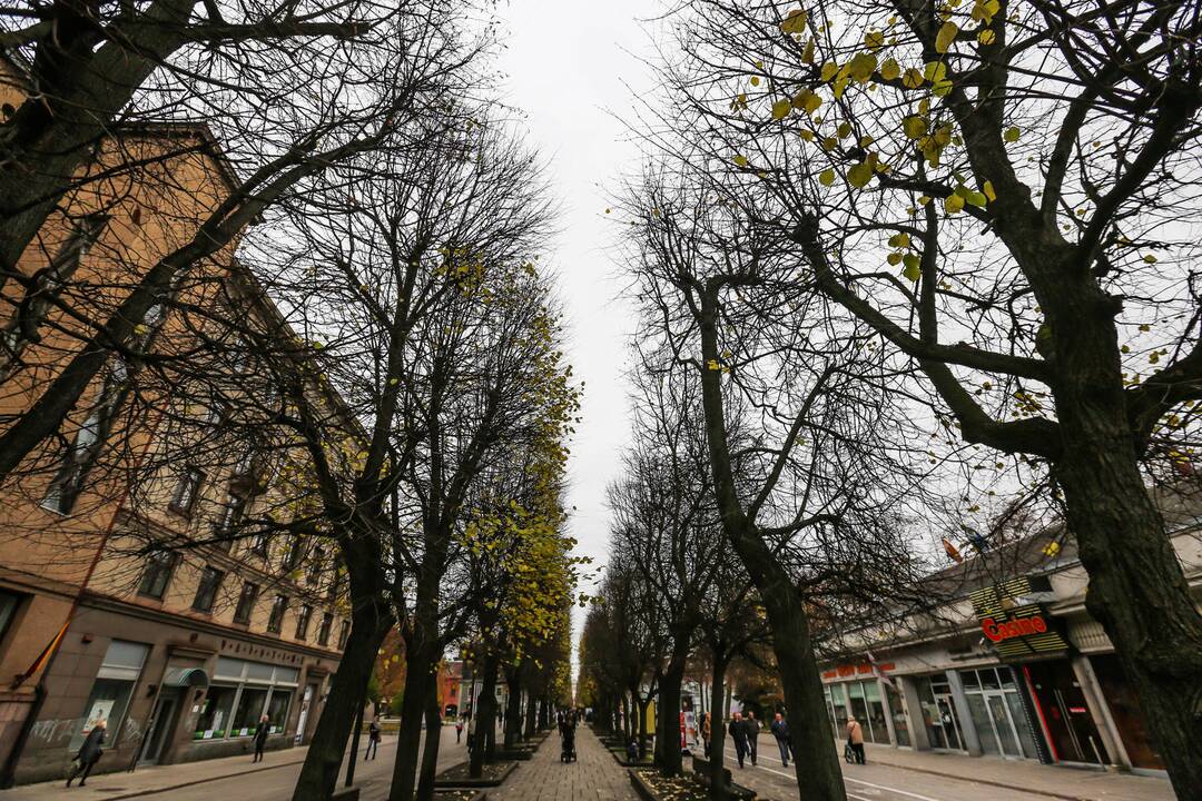 Ekskursija po Laisvės alėją "Paldieninkas: patirk laisvę naujai"