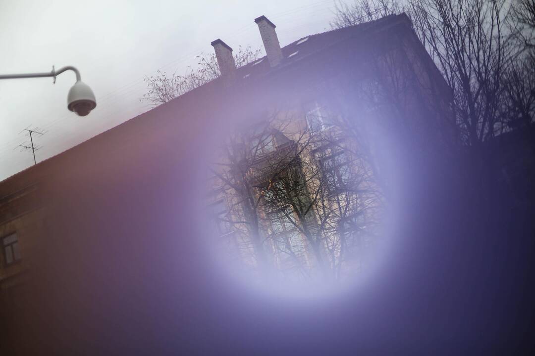 Ekskursija po Laisvės alėją "Paldieninkas: patirk laisvę naujai"