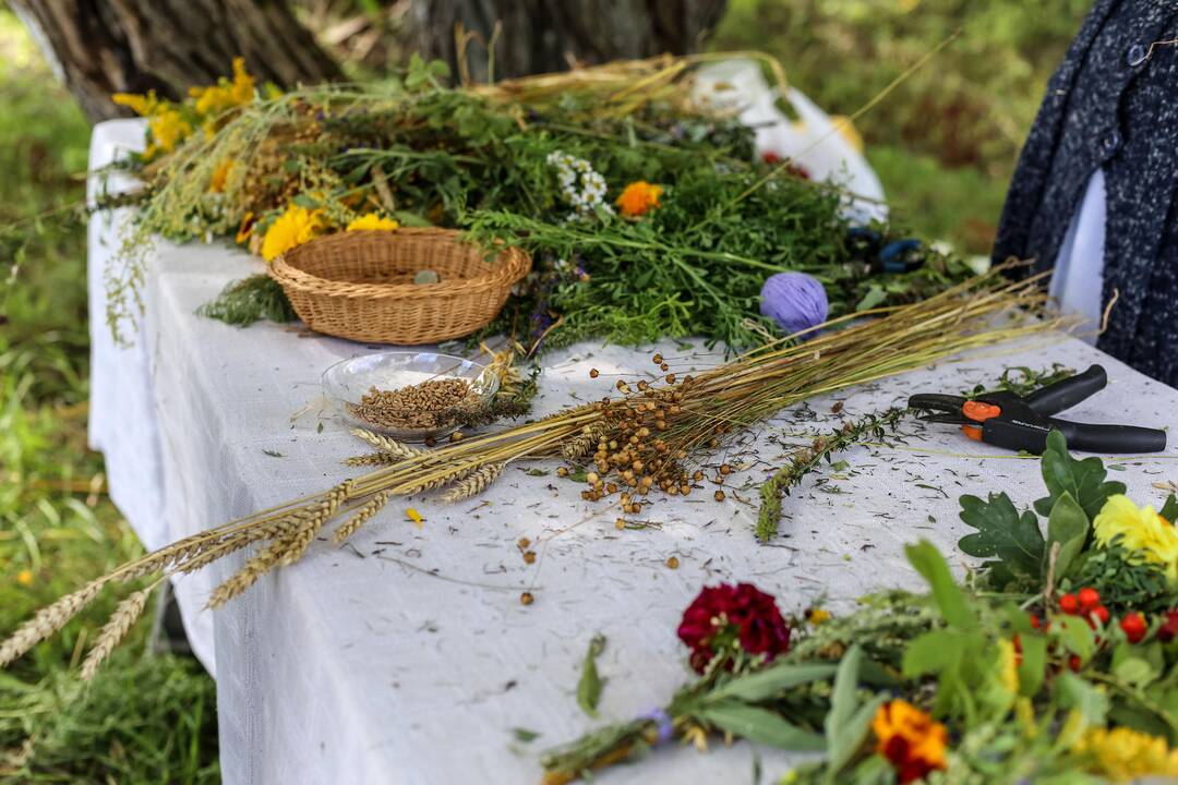 Žolinių šventė Liaudies buities muziejuje