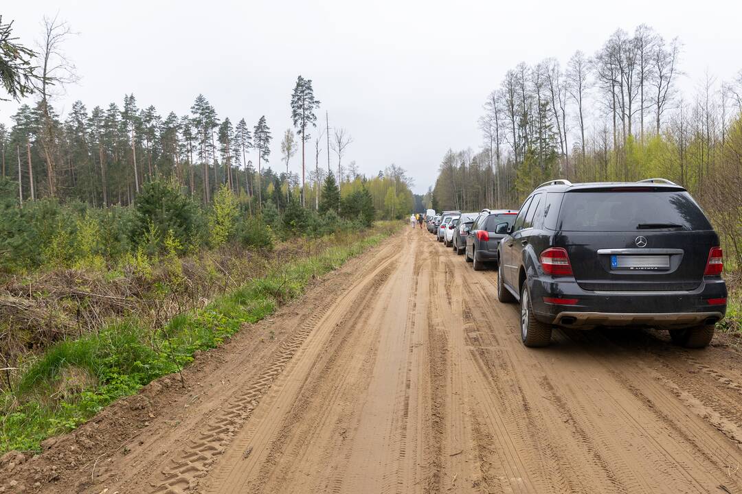 Miškasodis ties Karmėlava