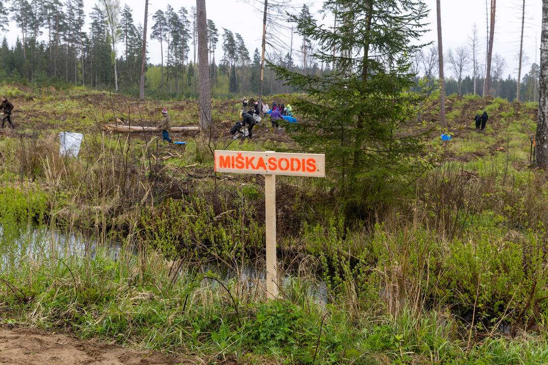Miškasodis ties Karmėlava
