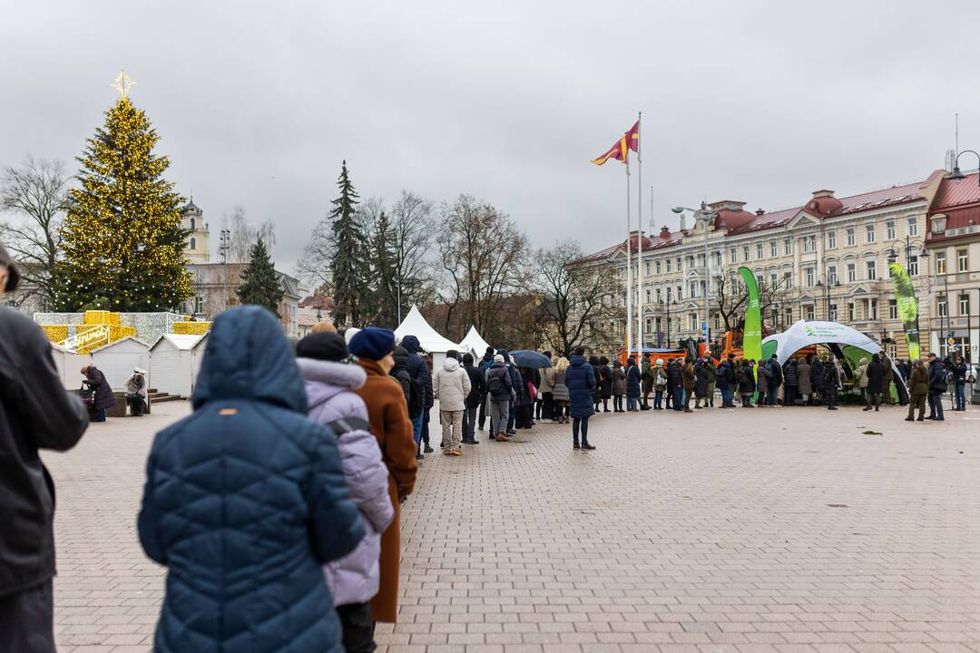 Miškininkų organizuojama nemokamų eglės šakų dalijimo akcija