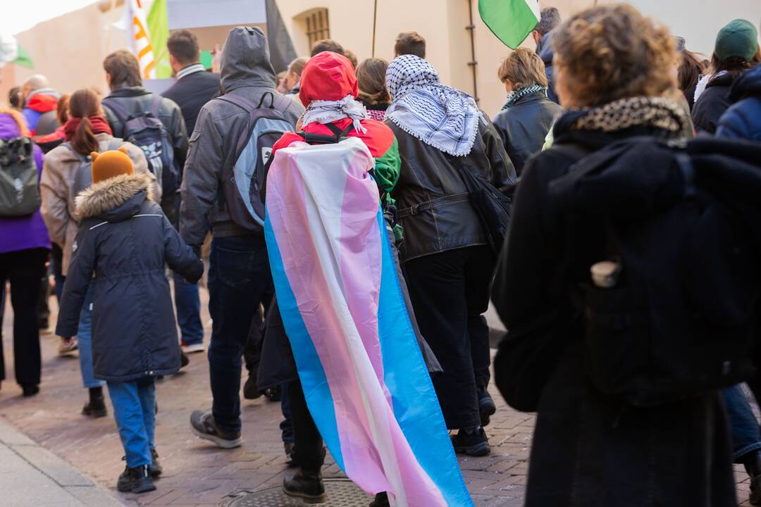 Profesinės sąjungos (G1PS) ir „KArtu – Kairiųjų Aljanso“ eitynės Vilniuje