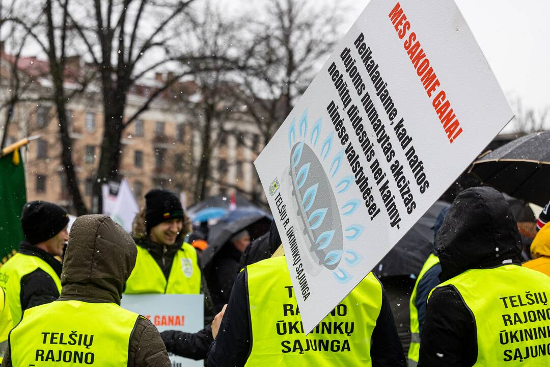 Vilniuje tęsiasi žemdirbių mitingas