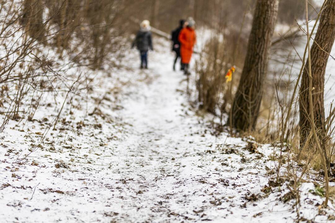 Tęsiama Vilniuje dingusio paauglio paieška