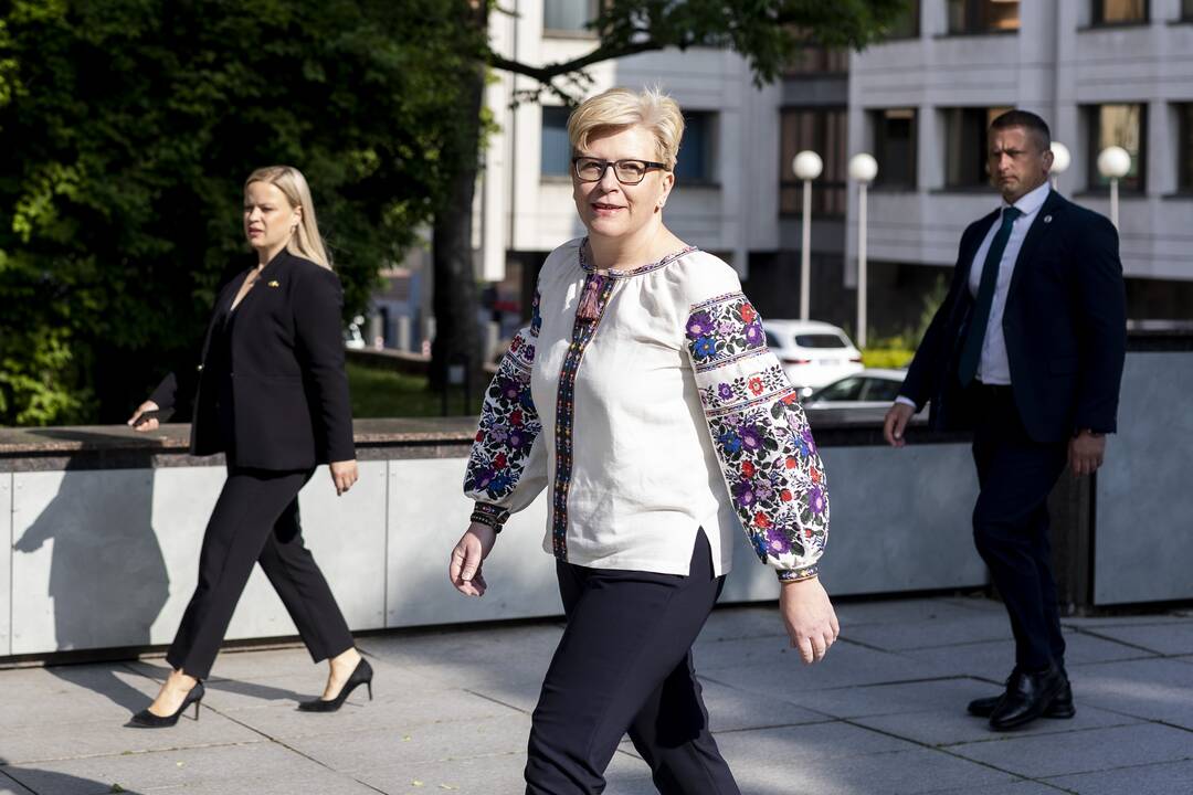 I. Šimonytė susitiko su Ukrainos Aukščiausiosios Rados Pirmininku R. Stefančiuku