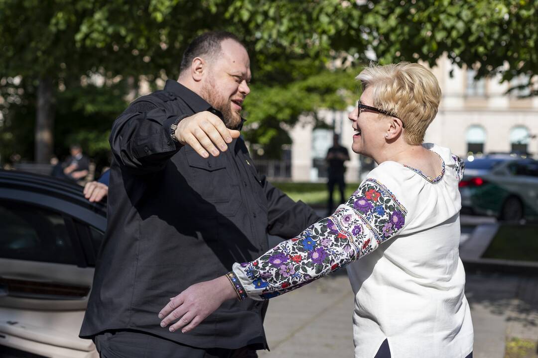 I. Šimonytė susitiko su Ukrainos Aukščiausiosios Rados Pirmininku R. Stefančiuku