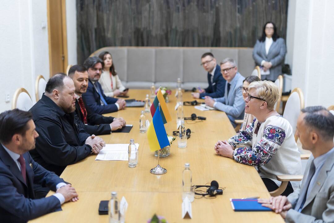 I. Šimonytė susitiko su Ukrainos Aukščiausiosios Rados Pirmininku R. Stefančiuku