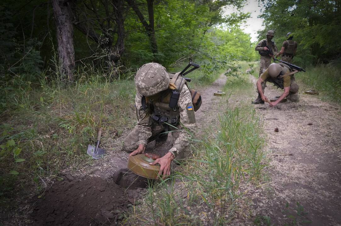 113-oji karo Ukrainoje diena