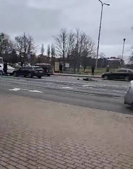 Žūtys: Herkaus Manto gatvėje per avarija žuvo du briedžiai.
