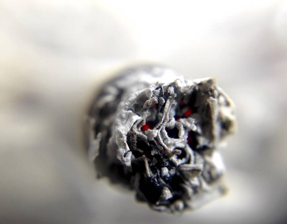 Asociatyvi nuotr.