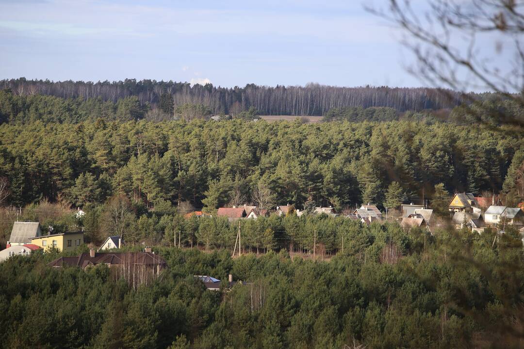 Koncentracija: daugiausia sodų bendrijų yra Neries pakrantėje ir prie Kauno marių.