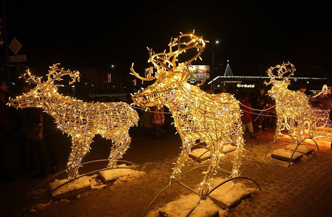 Mažeikių miesto elgė – tarsi iš magiško atviruko
