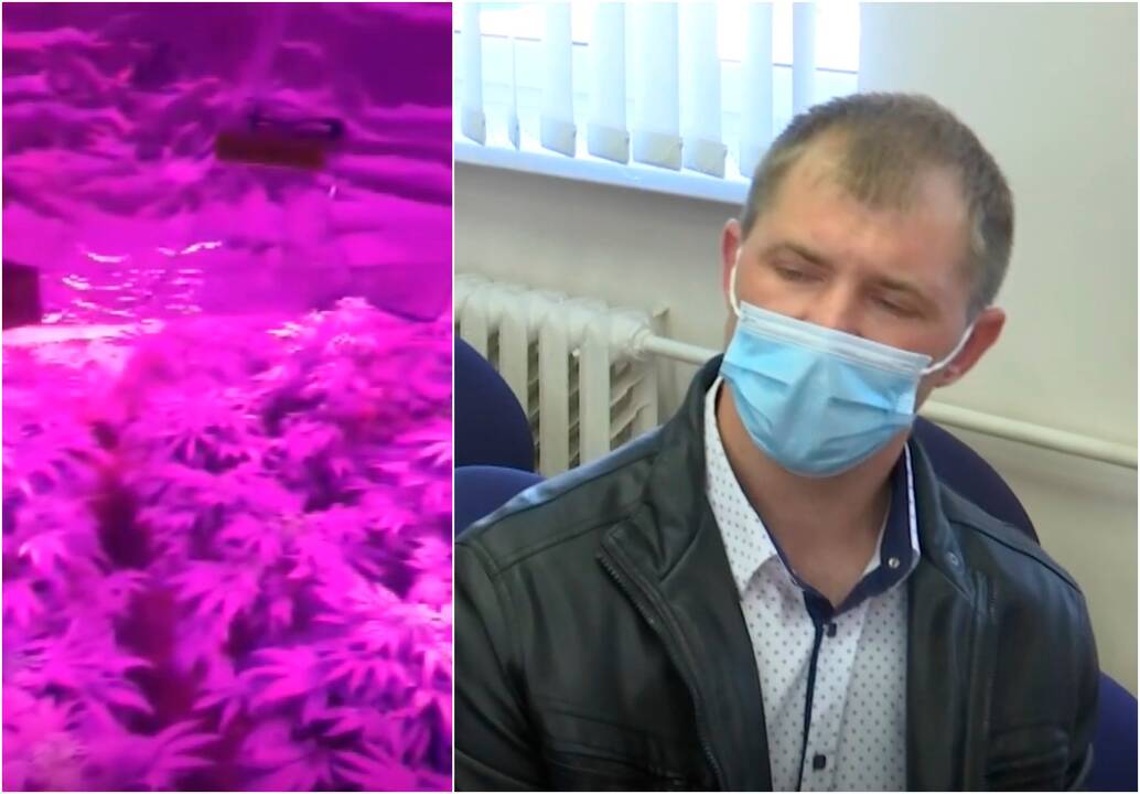Kanapių laboratoriją įkūrusiam kriminalistui – laisvės apribojimo bausmė