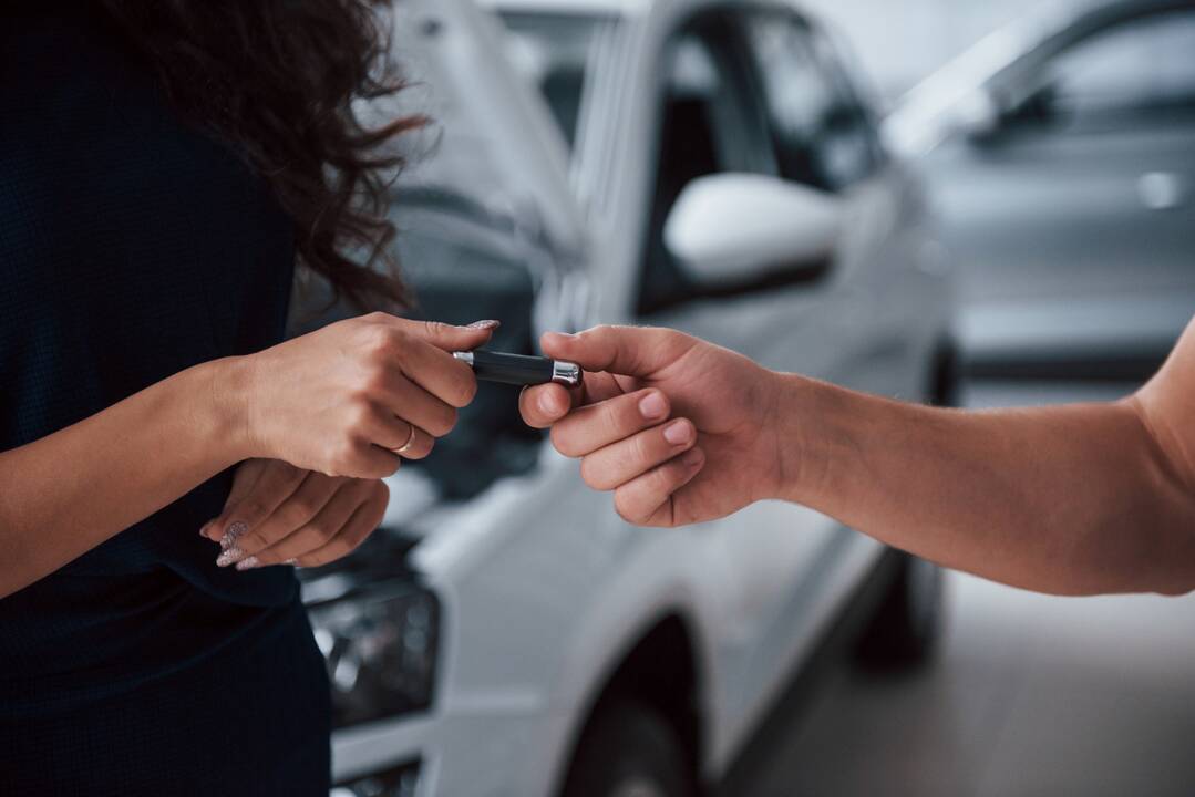 Automobilių rinkoje – drebėjimas: JAV iškasė duobę ir saviems?