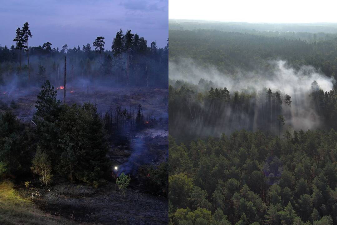 Miškuose daugėja gaisrų: įvardijo, kas kaltas
