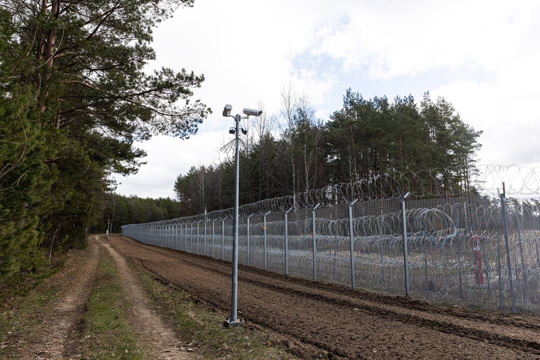 Lietuvos pasienyje su Baltarusija apgręžti keturi neteisėti migrantai 
