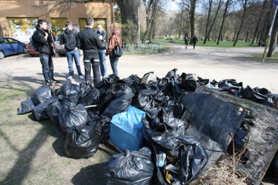 Dzūkijos miškuose bus valomos itin retos Lietuvoje žemyninės kopos
