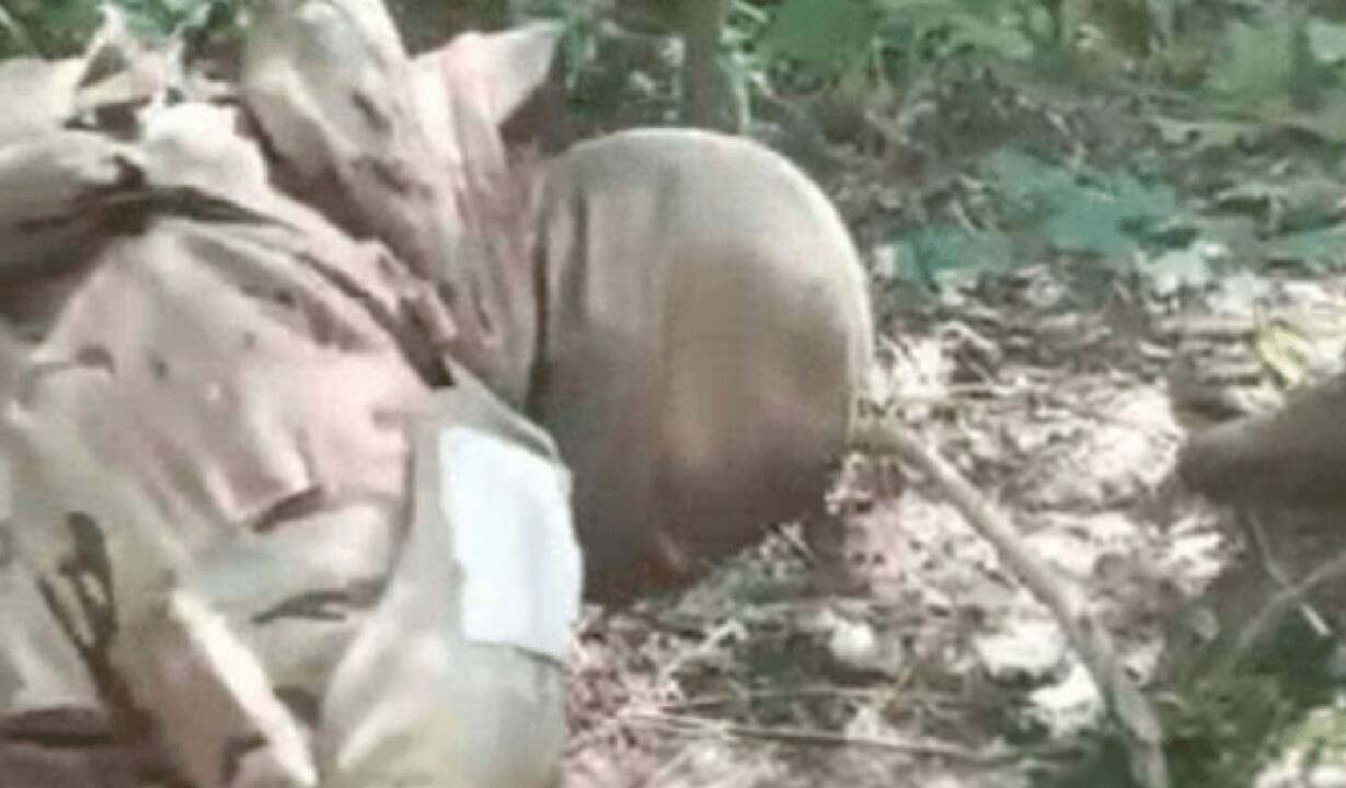Vaizdo įrašuose internete – brutalus Ukrainos karių nužudymas