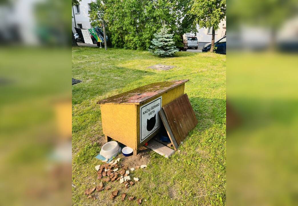 Supykdė: kačių mylėtojų palikta netvarka bado akis Žvejybos uosto rajono gyventojams.
