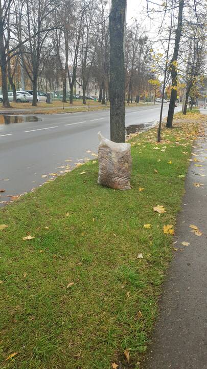 Kauniečiai ne vietoje palieka šiukšles ir juodų maišų kalnus