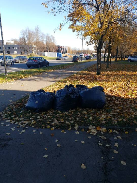 Kauniečiai ne vietoje palieka šiukšles ir juodų maišų kalnus