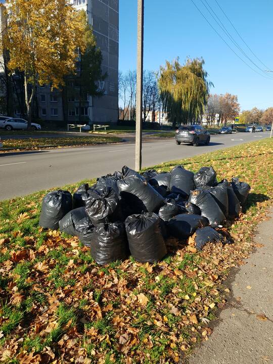 Kauniečiai ne vietoje palieka šiukšles ir juodų maišų kalnus