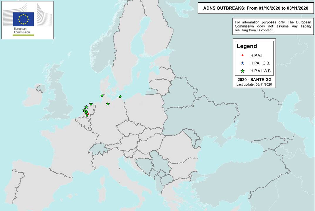 Trijose Europos valstybėse fiksuojami paukščių gripo atvejai