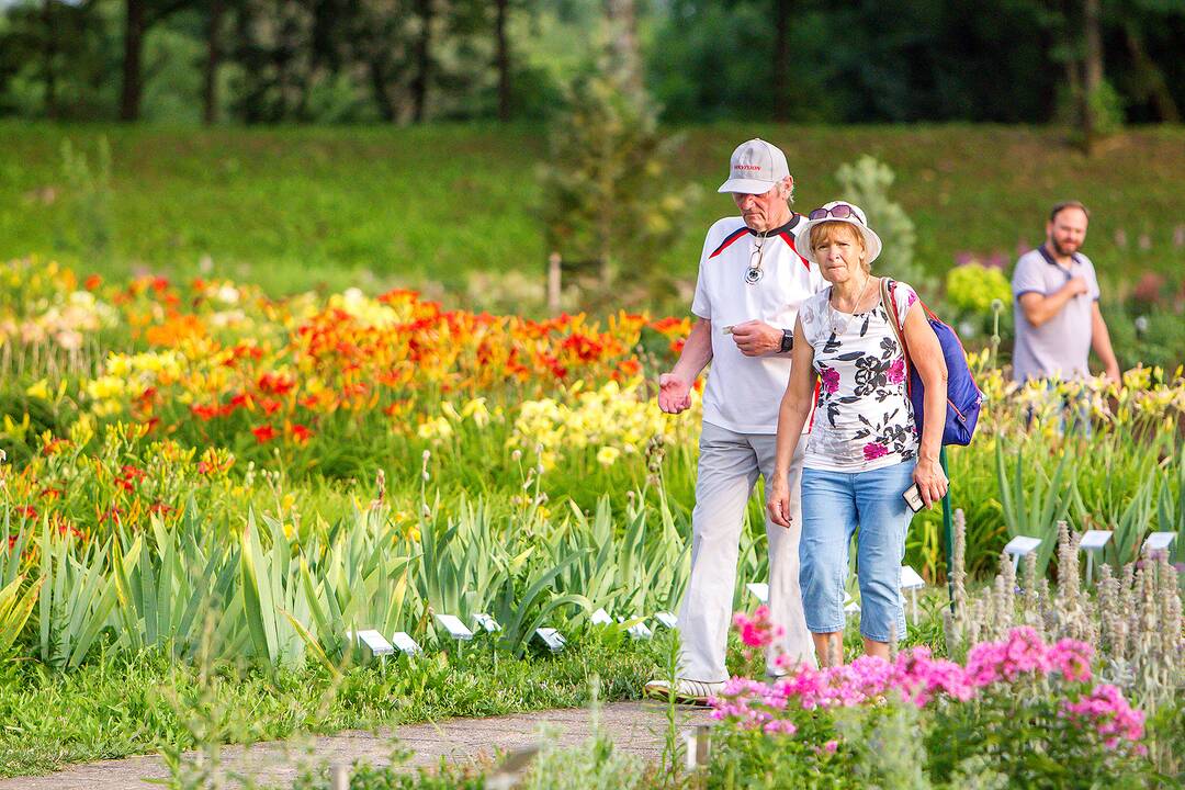 „Kvapų naktis“ VDU Botanikos sode