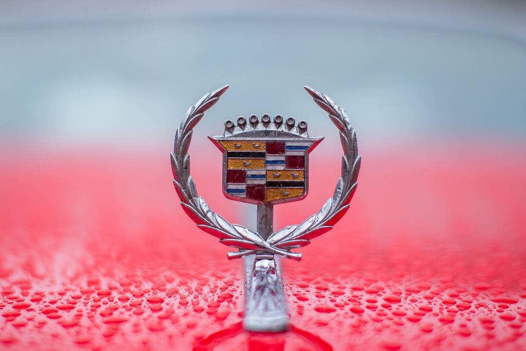 V. Gineika ir jo „Cadillac“ automobiliai