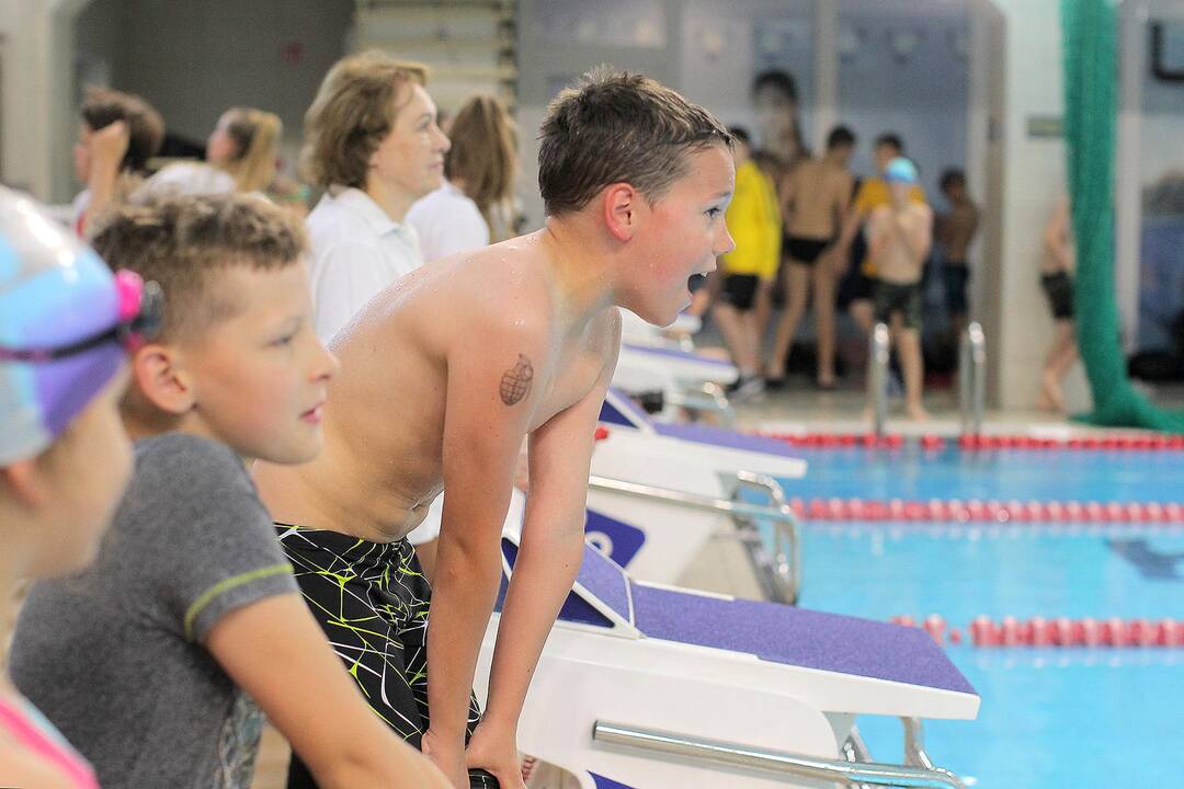 „Kaunas Grand Prix 2019“ plaukimo varžybos 