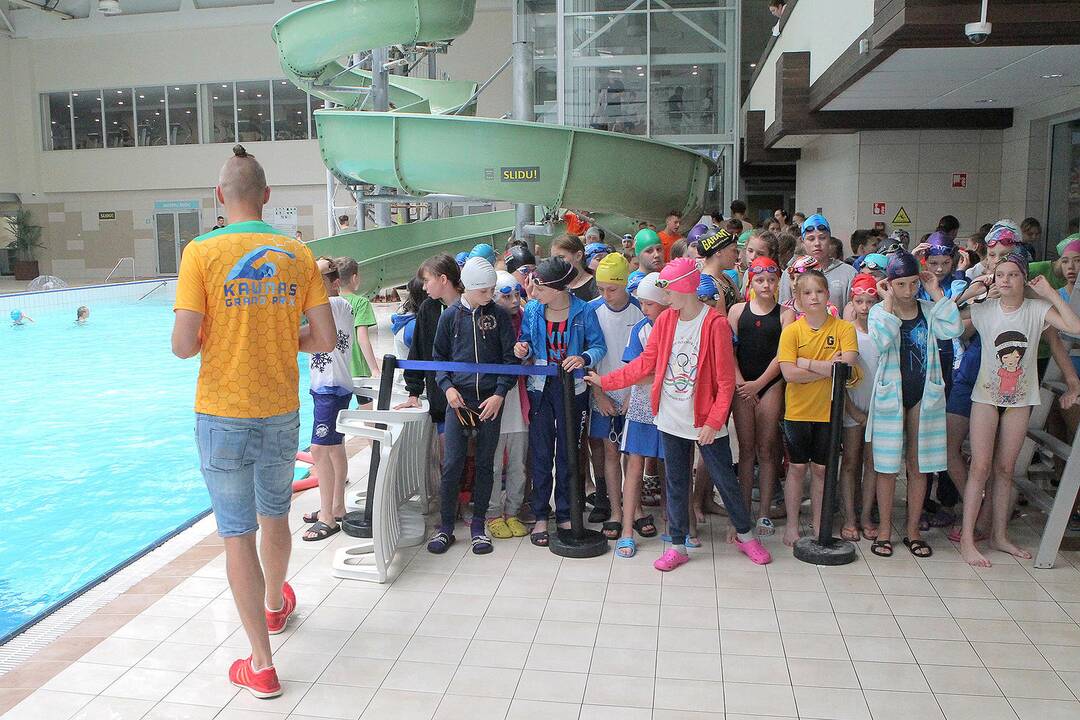 „Kaunas Grand Prix 2019“ plaukimo varžybos 